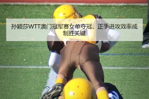 孙颖莎WTT澳门冠军赛女单夺冠，正手进攻效率成制胜关键