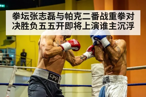 拳坛张志磊与帕克二番战重拳对决胜负五五开即将上演谁主沉浮